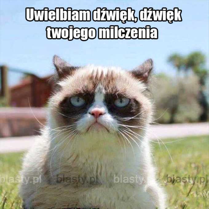 Uwielbiam gdy milczysz.