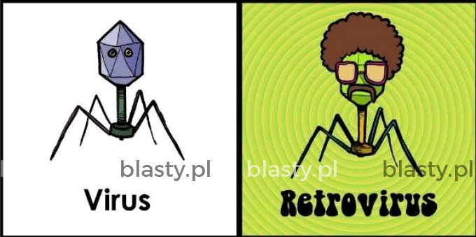 virus vs retrovirus