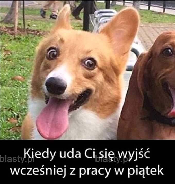 W piątek po pracy