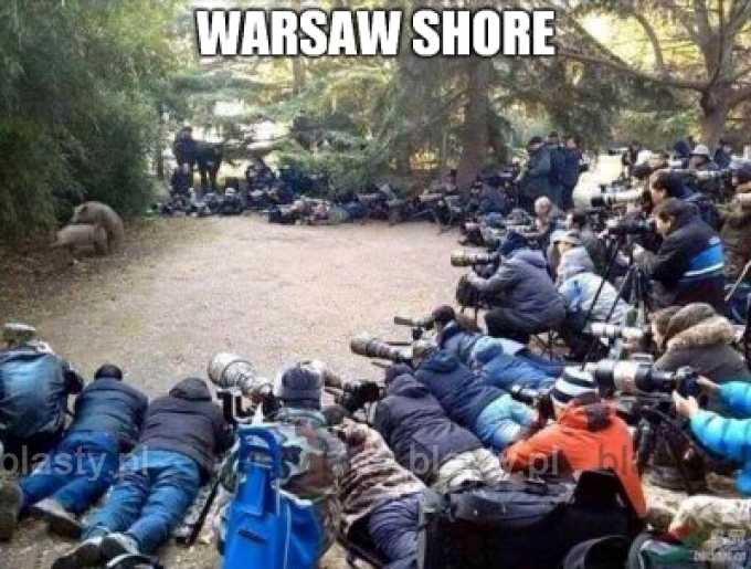 Warsaw Shore