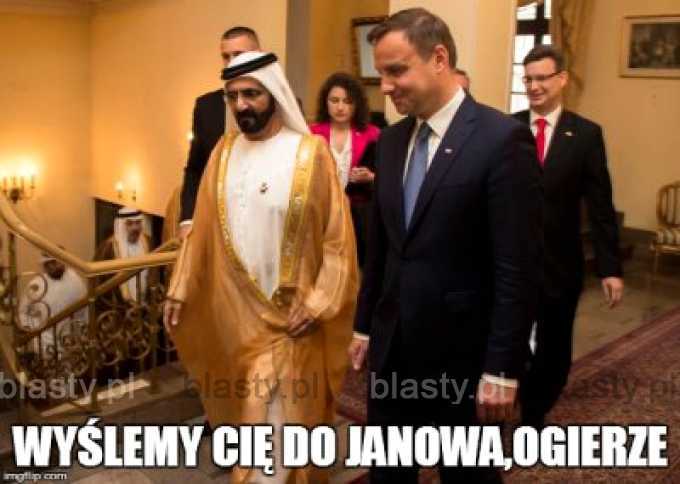 Wyślemy Cie do Janowa ogierze