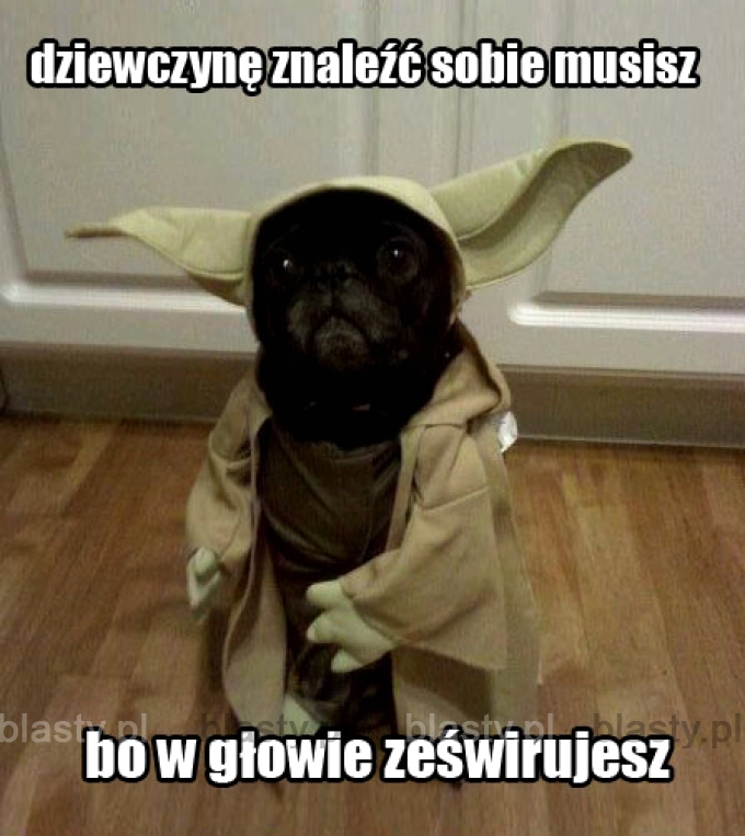 Yoda prawdę Ci powie