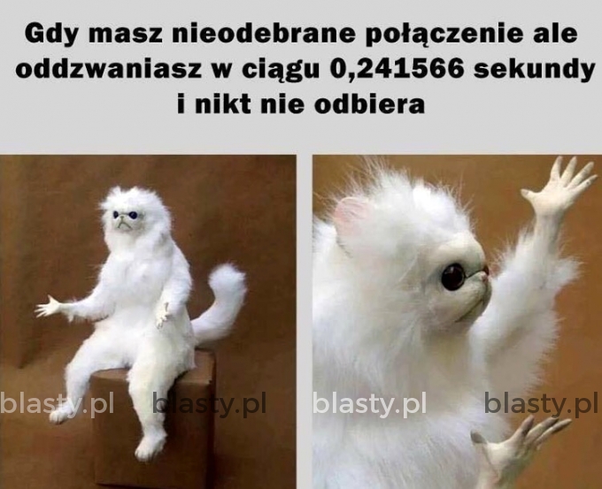 Za każdym razem