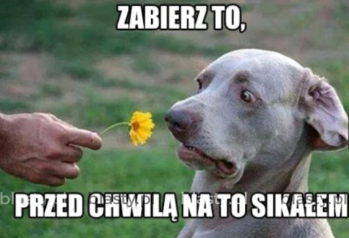 Zabierz to