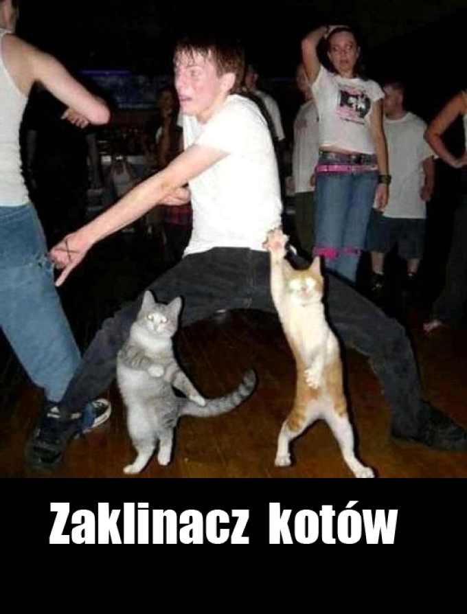 Zaklinacz kotów