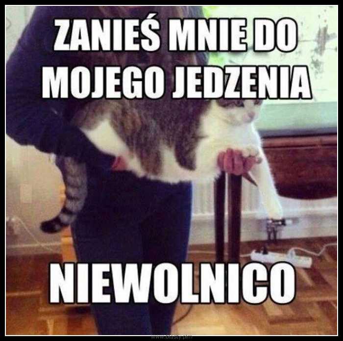 Zanieś mnie do mojego jedzenia niewolnico