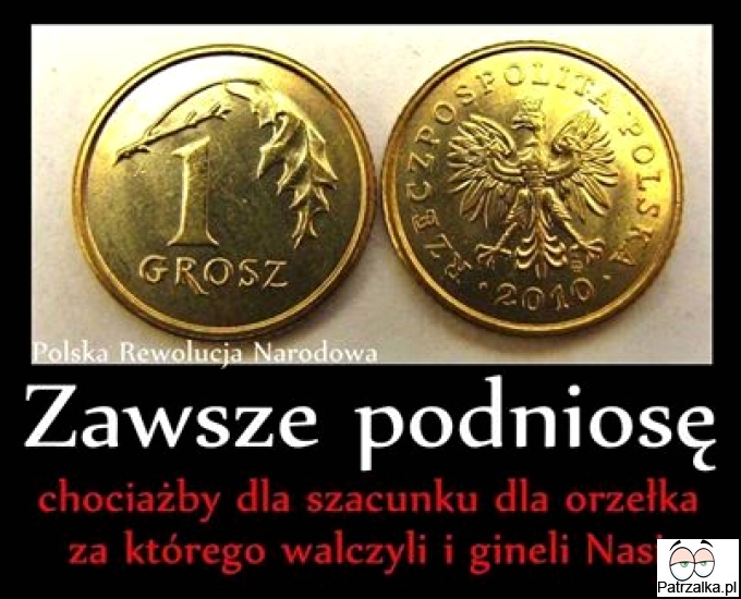 Zawszę podniosę