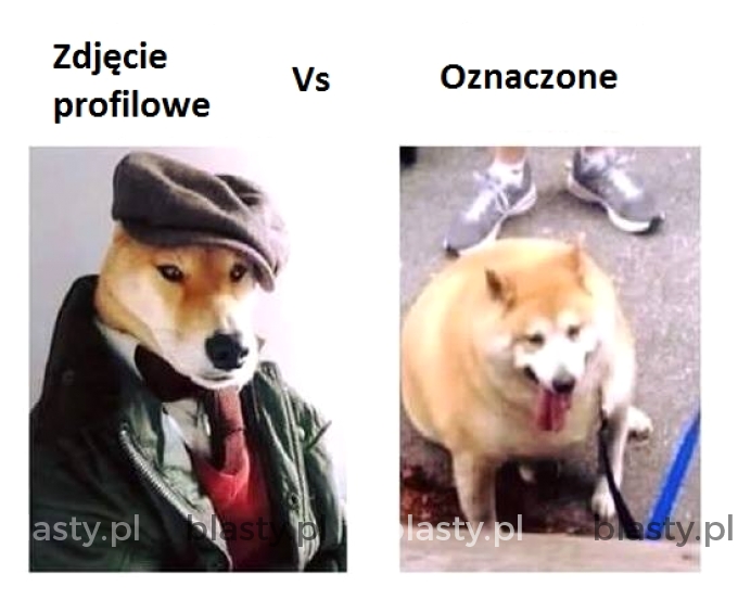 Zdjęcie profilowe vs zdjęcie oznaczone