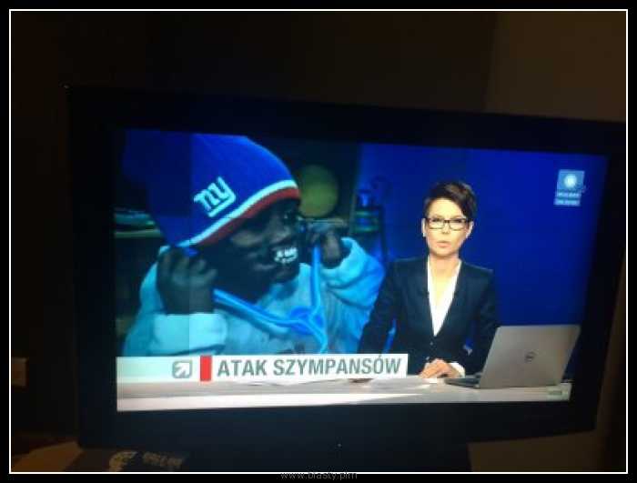 Atak szympansów