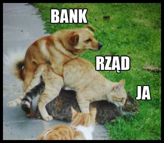 Bank, rząd i ja