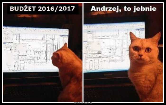 Budżet 2016/2017 Andrzej to Jebnie