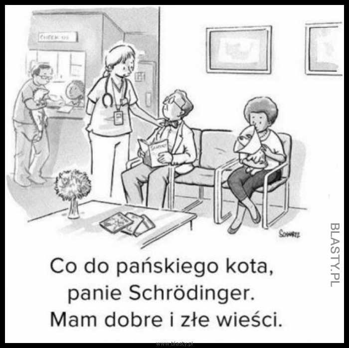 Co pańskiego kota panie schrodinger mam dobre i złe wieści