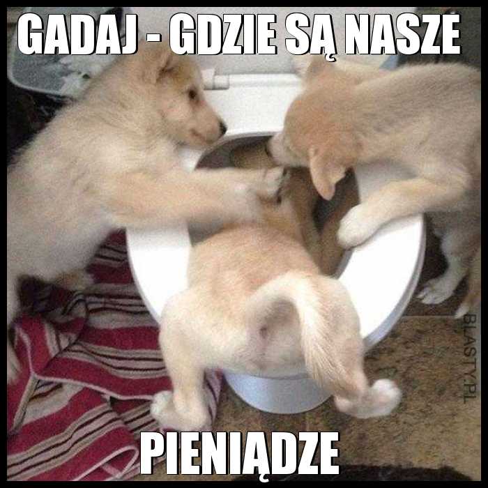 Gadaj - Gdzie są