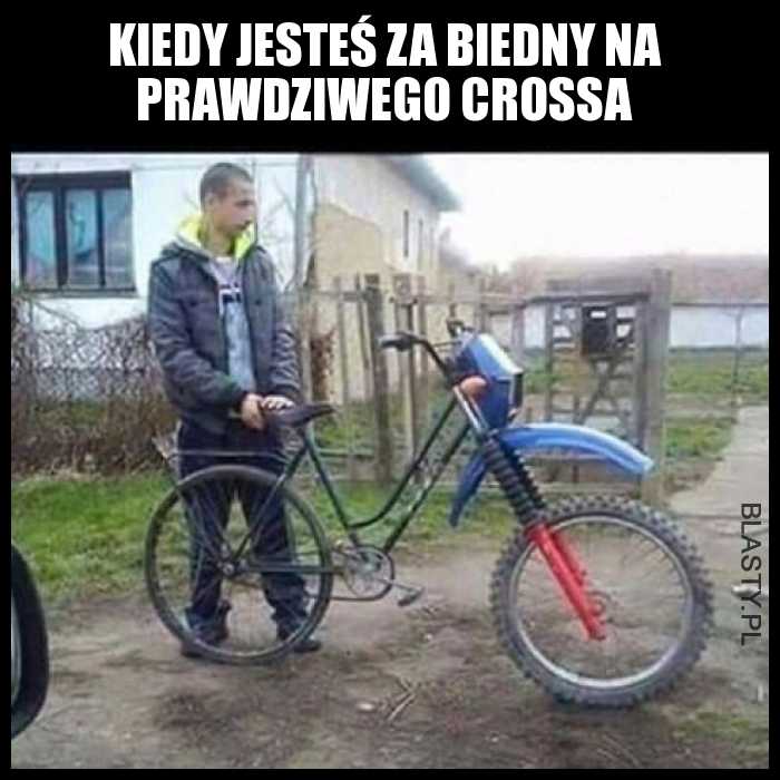 Janusze motoryzacji