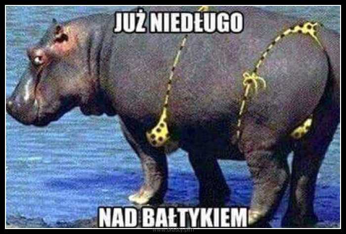 Już niedługo nad bałtykiem