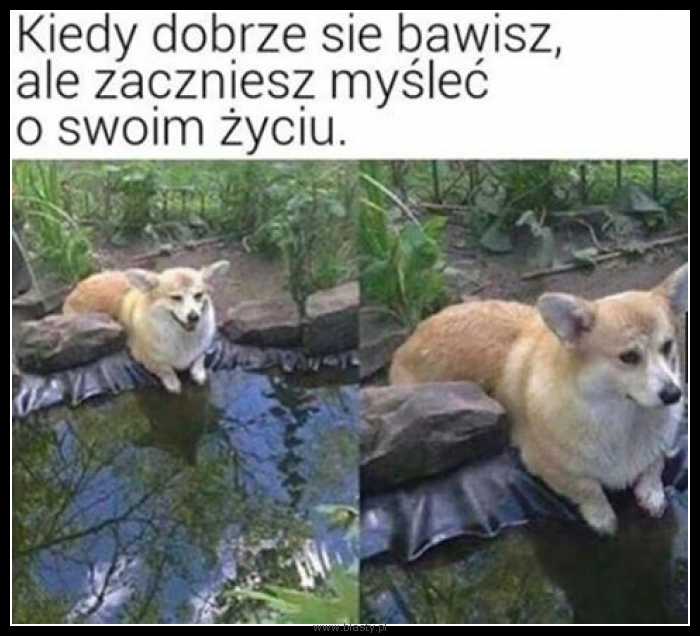 Kiedy dobrze się bawisz ale zaczynasz myśleć o swoim życiu