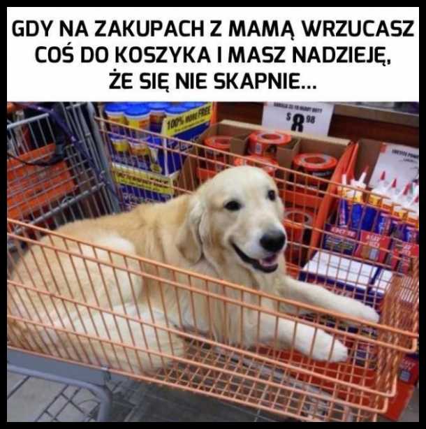 Kiedy masz nadzieję