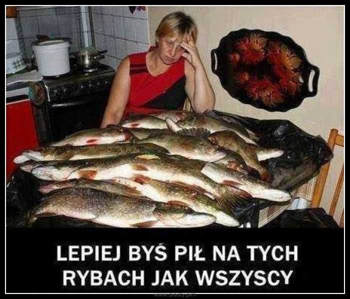 Lepiej byś pił na tych rybach jak wszyscy