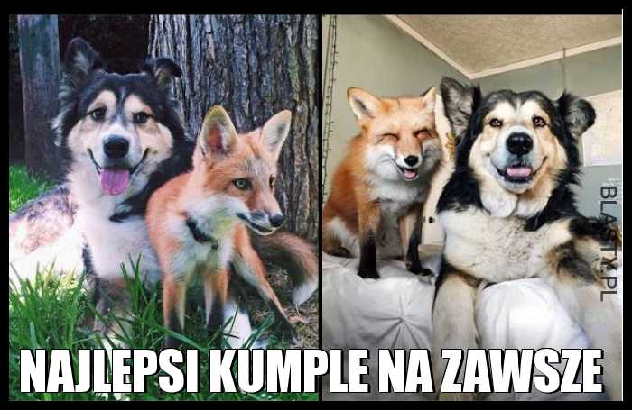 Najlepsi kumple na zawsze