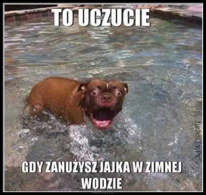 Niezapomniane uczucie