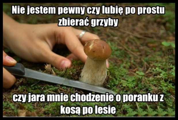 O poranku z kosą