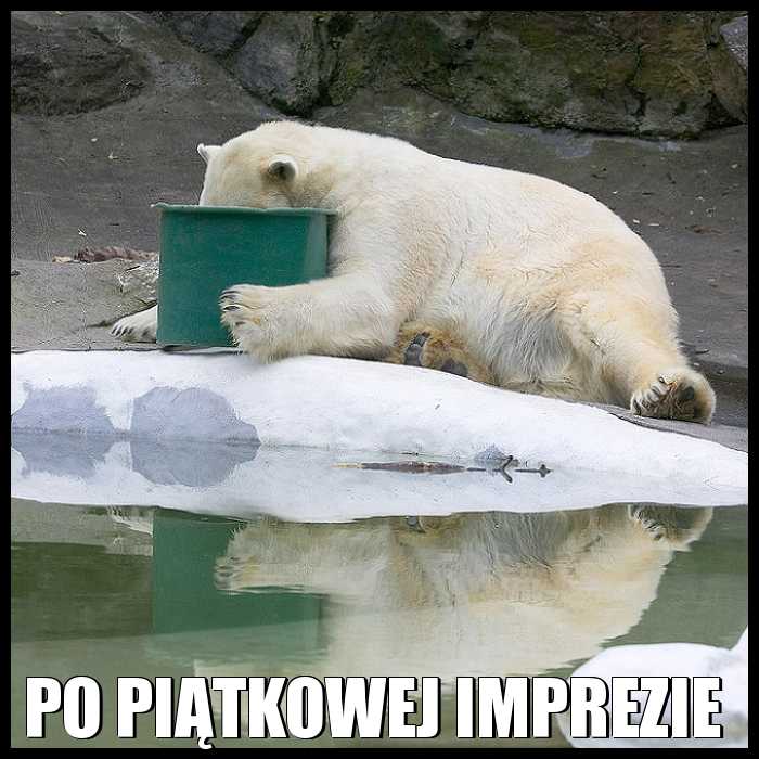 Po piątkowej imprezie