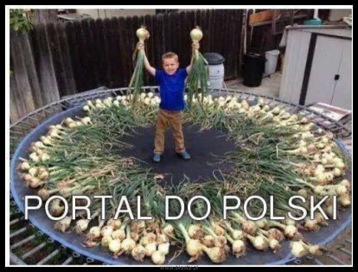 Portal do polski
