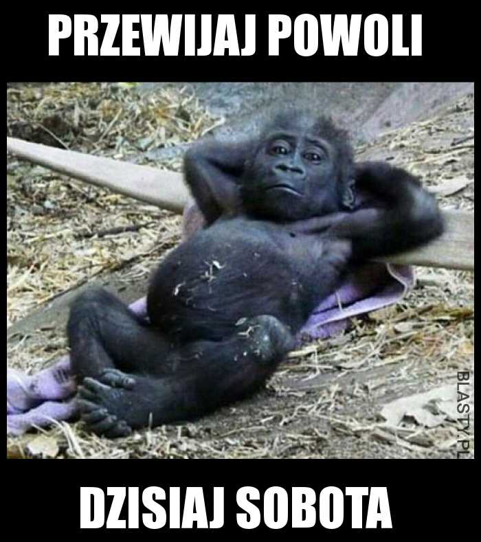 Przewijaj dalej