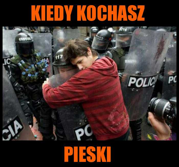 psy są takie kochane