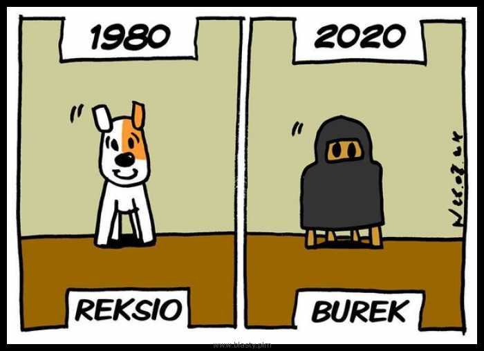 Powrót po latach - Page 5 Reksio-1980-vs-burek-2020_2016-05-11_12-37-51