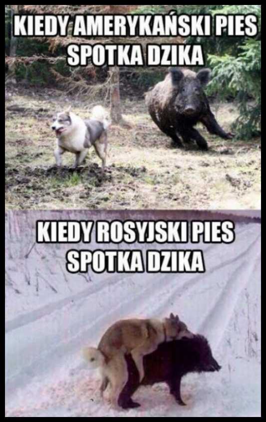 Rosyjski pies