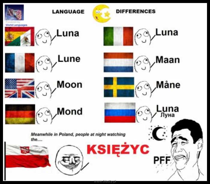 Różnice językowe