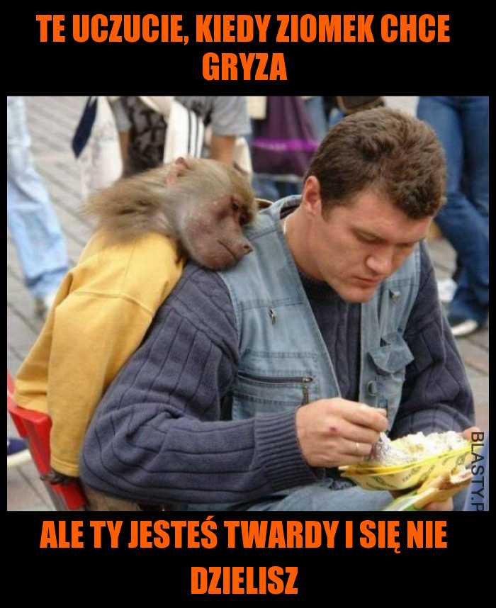 te uczucie, kiedy ziomek chce gryza