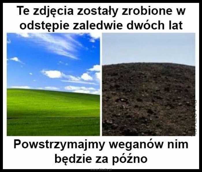 To ostatnia szansa powstrzymajmy wegan