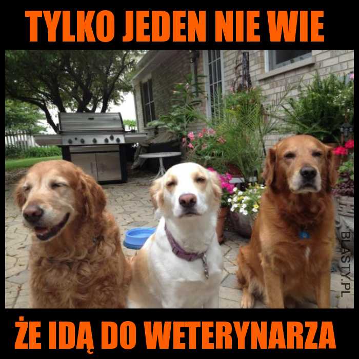 Tylko jeden nie wie