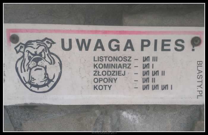 Uwaga pies