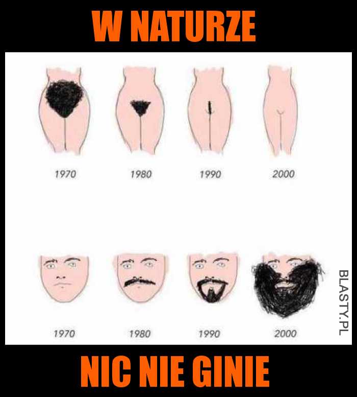 W naturze nic nie ginie