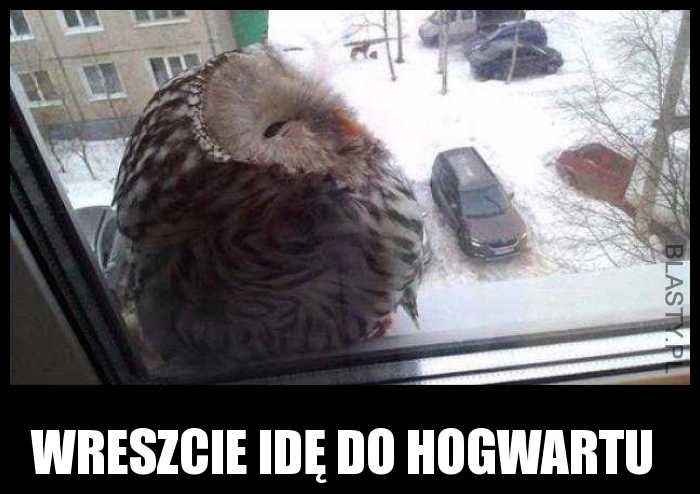 Wreszcie idę do Hogwartu