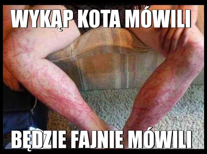 Wykąp kota mówili będzie fajnie mówili