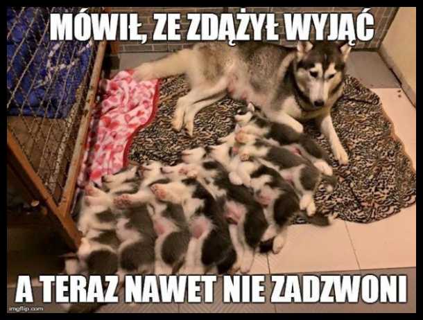 Zawsze tak jest