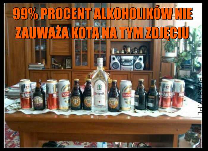 99% procent alkoholików nie zauważa kota na tym zdjęciu