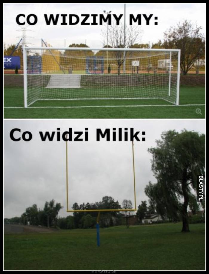 Co widzimy my vs co widzi milik