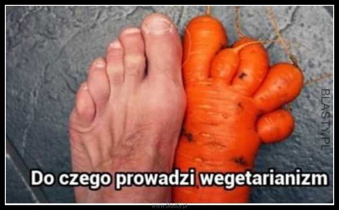 Do czego prowadzi wegetarianizm