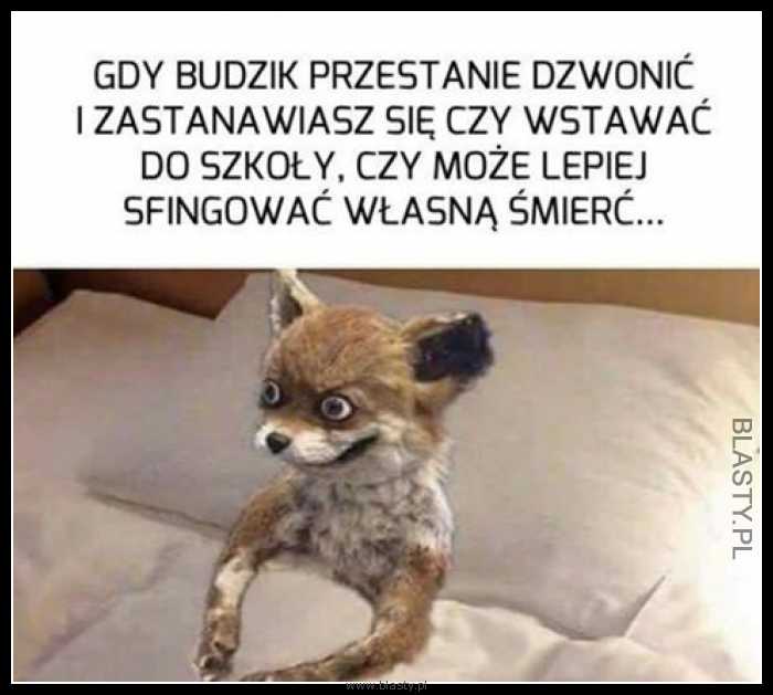 Gdy budzik przestanie dzwonić i zastanawiasz się