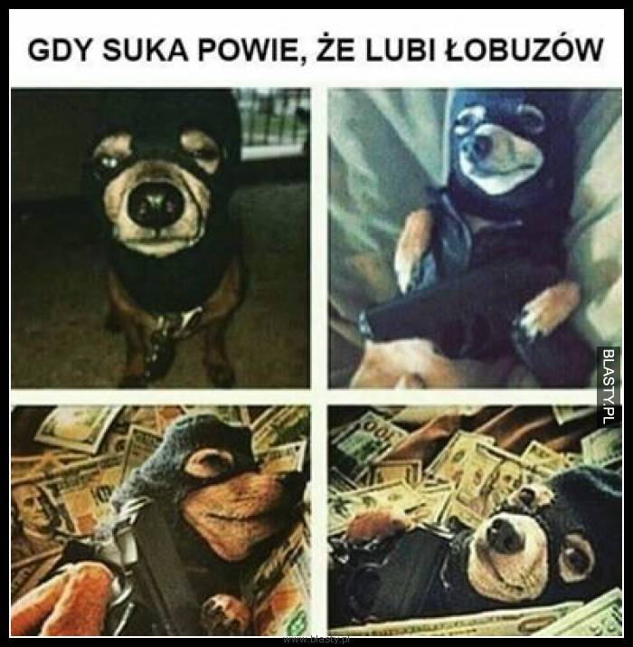 Gdy suka powie, że lubi łobuzów