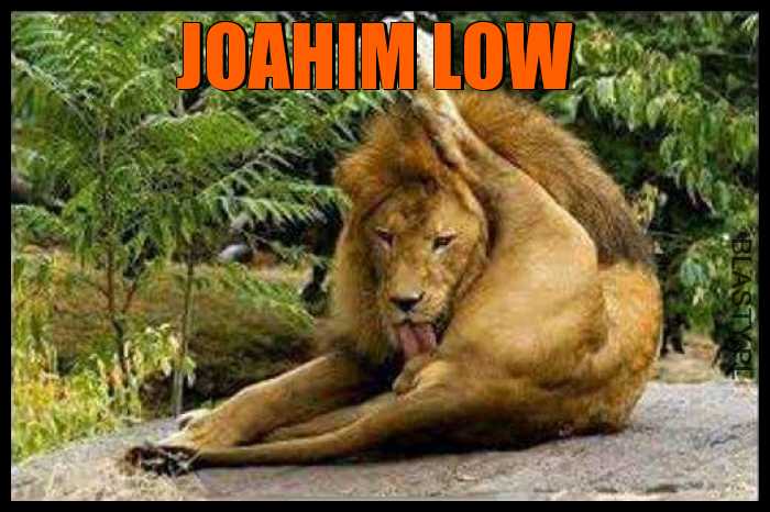 Joahim Low