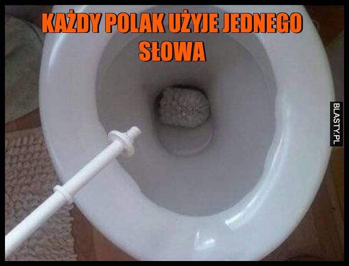 Każdy polak użyje jednego słowa