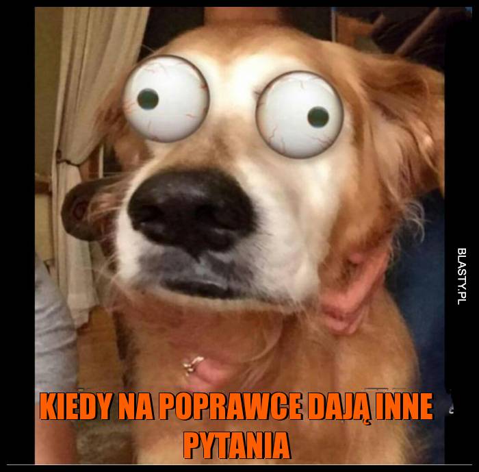 Kiedy na poprawce dają inne pytania