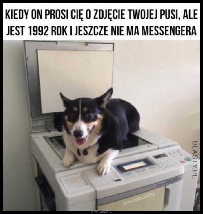 Kiedy on prosi o zdjęcie Twojej pusi ale jest 1992