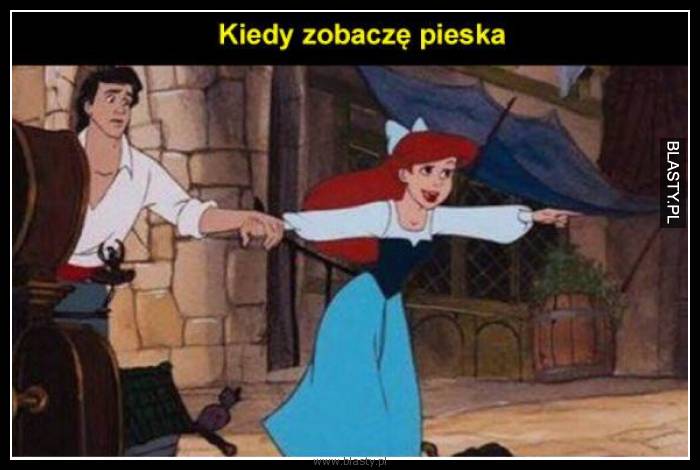 Kiedy zobaczę pieska